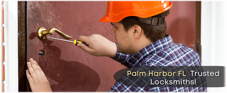 Lock Change Service Locksmith Palm Harbor FL (727) 268-8325