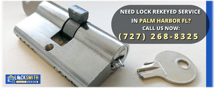 Lock Rekey Service Locksmith Palm Harbor FL (727) 268-8325